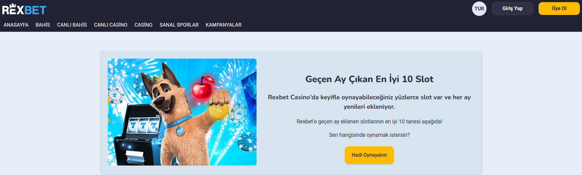 Rexbet Güncel Link