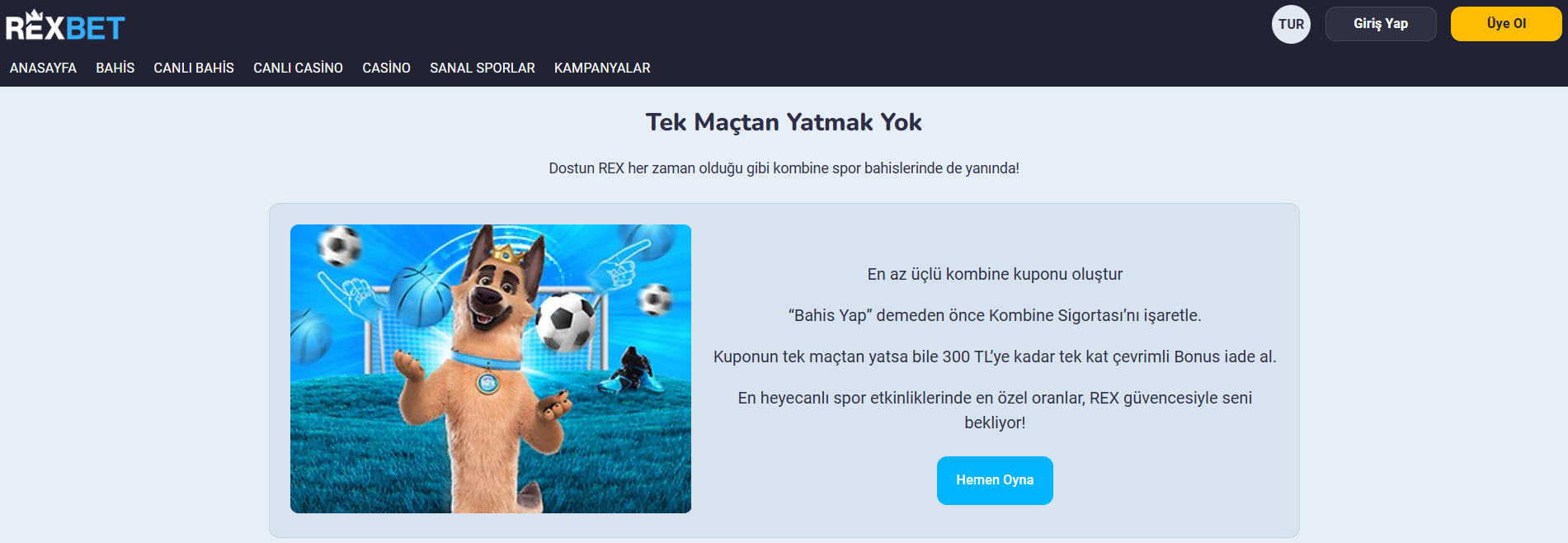 Rexbet Link Yeni
